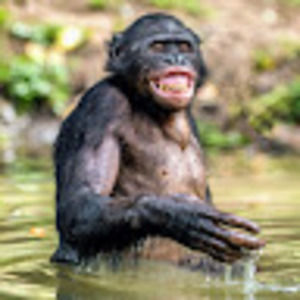 Meet your Posher, Kinslee